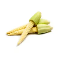 baby corn - 250gr