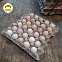 Telur Ayam Kampung Arab Eceran Per-papan (30 butir)