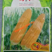 Bibit Jagung Manis Bonanza F1 1800 Butir