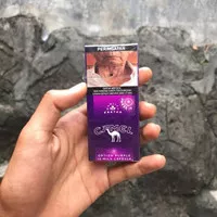 Rokok camel purple option 12 batang
