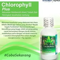 Chlorophyll | Klorofil | Zat Hijau Daun Synergy Asli Rasa Mint 59ml