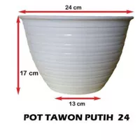 Pot tanaman tawon putih 24cm