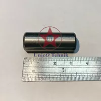 Pin plunger / Pin piston Power sprayer SANCHIN SC SCN 45 ( Sparepart )