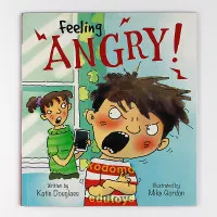 Feeling Angry! by Kay Barnham