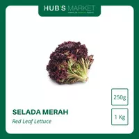 Selada Merah Lollo Rosso Red Lettuce Lolorosa Pack Kg [250g] [1 Kg] - Pack - 500g