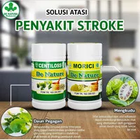 obat herbal stroke . obat herbal stroke ringan stroke berat