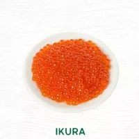 PICKNFRESH Ikura / Telur Ikan Salmon