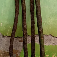 kayu lemo anti ular asli gunung karang