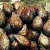 Salak