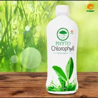 PHHP Phyto Chlorophyll, isi 500ml