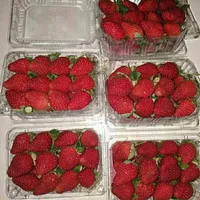 Buah Strawberry 1 Pack