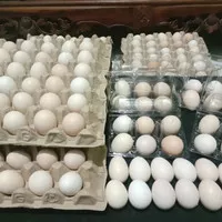 Telur Ayam Kampung(Arab)