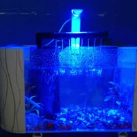 Aquarium minimalis /Aquarium cupang&ikan kecil lainnya(A)(+Filter)