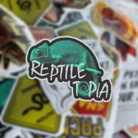 Sticker Reptile Chameleon Veiled Panther by Reptiletopia bukan mius