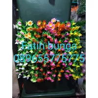Bunga Rambat Seruni Panjang/Rambat dinding/Bunga tempel Dinding