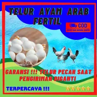 Telur Fertil Ayam Arab