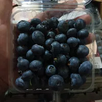 blue berry 125 gram from spain