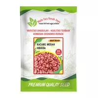 Benih kacang merah unggulan - bibit kacang merah super