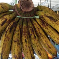 Pisang Barangan Medan