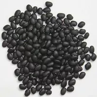 Kacang Hitam Kacang Kedelai Hitam Black Bean Black Soy Bean 1kg
