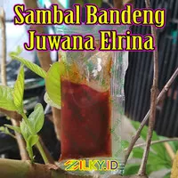 Sambal Sambel Sachet Ikan Bandeng Juwana Elrina Erlina Semarang Bekasi