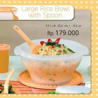 Large Rice Bowl with Spoon - Mangkok - Tupperware (1)