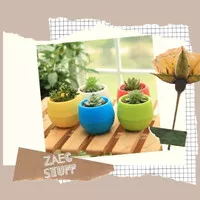 Pot Bunga Mini Cocok untuk Tanaman Kaktus Isi 5 PCS