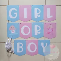 Banner Bunting Flag Gender Reveal Boy Or Girl Baby Shower Bayi