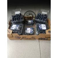 Blueberry Onuba Jumbo Spain 1 Dus (12 Pack) Freh Import