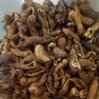 keripik teripang 250grm 35000