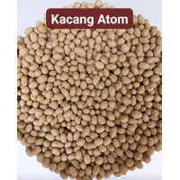 500gr kacang atom / kacang oven