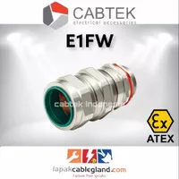 Cable Gland Exproof CABTEK 20s16 E1FW 1/2 SWA Armour Brass hawke cmp