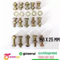 Baut M6 x 25 mm plus mur & ring 10 pcs