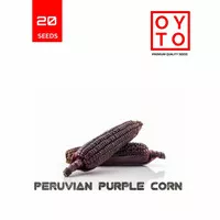 BENIH JAGUNG UNGU PURPLE PERUVIAN BIBIT BUAH BENIH TANAMAN SAYURAN