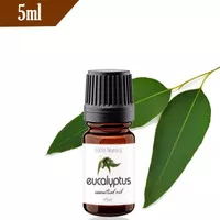 Eucalyptus Oil 5ml (Pure Essential Oil / Minyak Atsiri)