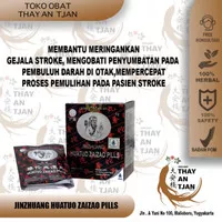 HUATUO ZAIZAO PILLS | OBAT STROKE | OBAT PEMBEKUAN DARAH