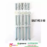 Baut M5 x 40 mm plus mur & ring 10 pcs