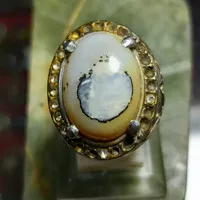 Abalone Shell - Cincin Batu Akik 02