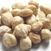 nutmeg seed / biji kemiri utuh (bukan pecah) 1kg