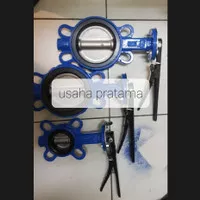 butterfly valve cast iron 1 1/2 inch / disc ss304