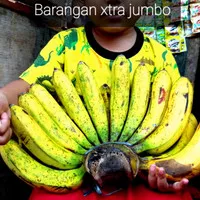 pisang barangan