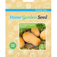 Labu Madu Squash - Benih Home Garden Seed isi 8 Seed