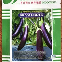 BENIH TERONG UNGU F1 HIBRYD EGG PLANT ORIENTAL SEED