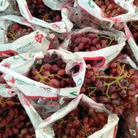 anggur crispy seedles premium Australia | kg