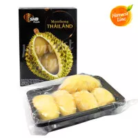 DURIAN MONTHONG THAILAND FROZEN SHB IMPORT [HARVEST LINE]