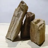 batu fosil kayu aquascape /1kg
