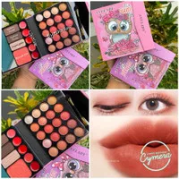 PROMO ANYLADY MAKE UP it's a PURRFECT day OWL Series PALETTE 8659L