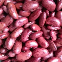 kacang merah 1 kg