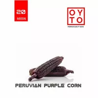 BENIH JAGUNG UNGU PURPLE PERUVIAN CORN BIBIT SAYURAN BENIH TANAMAN