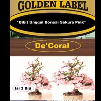 Bibit Bonsai Sakura Pink|Benih Bonsai Sakura Pink|Bibit Bunga Sakura